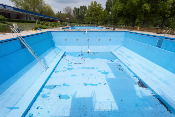 Best Basement water damage restoration  in Haughton, LA