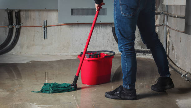 Best Ceiling water damage repair  in Haughton, LA