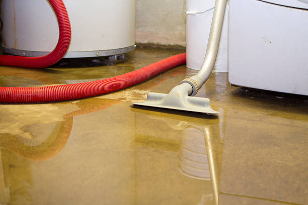  Haughton, LA Water damage restoration Pros