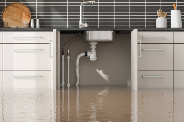Best Flood damage cleanup  in Haughton, LA