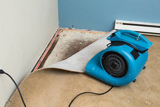 Best Flooded house restoration  in Haughton, LA